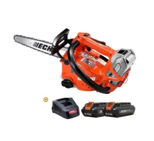 Tronçonneuse élagueuse à Batterie DCS 2500T CA Pack - Echo – Set avec 2 Batteries et Chargeur | Guide 25 cm